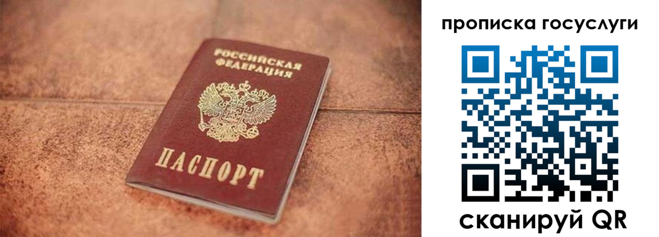 прописка законно в Каменск-Шахтинском